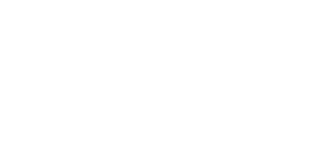 Ve